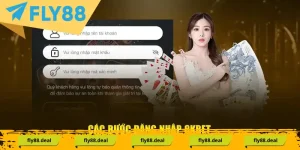 Hướng Dẫn FLY88 - FLY88 DEAL