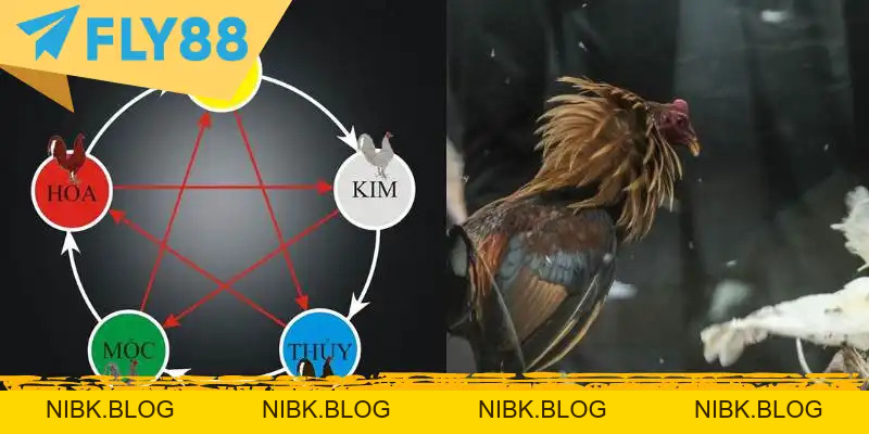 Đá Gà Cựa Sắt Trực Tuyến: Kinh Nghiệm & Luật - FLY88 DEAL Đá Gà Cựa Sắt Trực Tuyến: Kinh Nghiệm & Luật - FLY88 DEAL