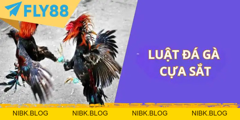 Đá Gà Cựa Sắt Trực Tuyến: Kinh Nghiệm & Luật - FLY88 DEAL Đá Gà Cựa Sắt Trực Tuyến: Kinh Nghiệm & Luật - FLY88 DEAL