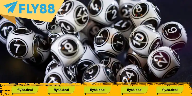 Khái Niệm Bạch Thủ Lô Và Những Kiến Thức Cần Thiết Cho Người Chơi - FLY88 DEAL Khái Niệm Bạch Thủ Lô Và Những Kiến Thức Cần Thiết Cho Người Chơi - FLY88 DEAL