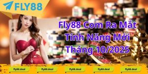 Tin Tức FLY88 - FLY88 DEAL