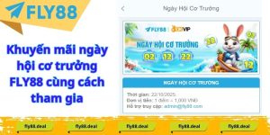 Tin Tức FLY88 - FLY88 DEAL
