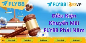 Tin Tức FLY88 - FLY88 DEAL