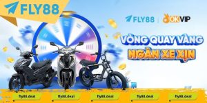 Tin Tức FLY88 - FLY88 DEAL